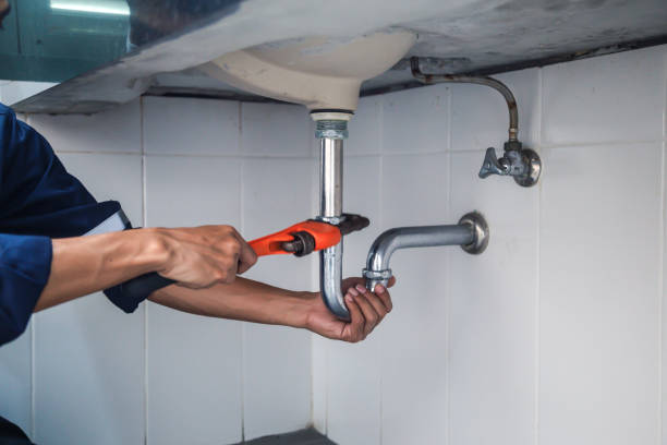 Best Plumbing Services Near Me  in Gaylord, MN
